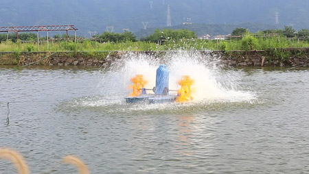 Selectie en installatie van visvijverbeluchter